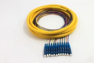 12 Fiber LC/UPC Distribution Style Pigtail,SM, Blue Boots
